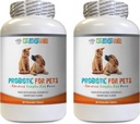 suņu probiotiskie gremošanas enzīmi - PET PROBIOTIC - DOGS UN CATS - DIGESTĪVAIS BOOSTS - BĪSTAMA BRĪDINĀJUMA UN STOP DIARRHEA - laktobacillus salivarius probiotic - 2 pudeles (120 Ārstēšana)