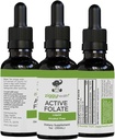 Active Folate Pure Liquid Extract Papildinājums - L-metilfolāts labākai absorbcijai, smadzeņu veselībai, šūnu funkcijas uzlabošanai, Imūnsistēma, ūdens šķīdība B komplekss, 1oz - pēc Ziggy Health