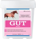 GutTM Granulas -- Veselīgi gurķi Probiotikas zirgiem -- Zirgu prebiotikas un probiotisks pulveris -- Zirgu kuņģa papildinājums - 13,5 lb