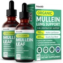 5-in-1 Mullein pilieni plūmju un bronhu - elpošanas plaušu veselības atbalsts ar Mullen Leaf ekstraktu plūmju - Mullein Tincture ar plūškoka, ehinācijas un ingvera saknes (60 Servējumi) (2-paka)