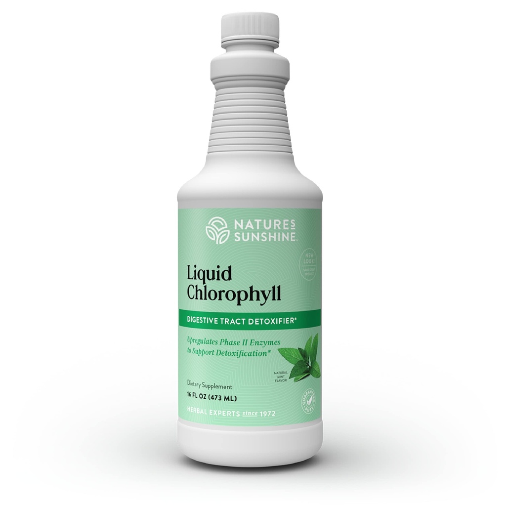 Dabas saulīte Šķidrais hlorofils - Immunity Support, Detox & Cleanse, Hlorofila šķidrs pilieni ar sparmint eļļu, dabas enerģijas Boost, iekšējais dezodorants - 16 Fl Oz