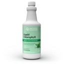 Dabas saulīte Šķidrais hlorofils - Immunity Support, Detox & Cleanse, Hlorofila šķidrs pilieni ar sparmint eļļu, dabas enerģijas Boost, iekšējais dezodorants - 16 Fl Oz