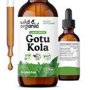 Savvaļas un organiskās gotu Kola Herb Tincture - Smadzeņu atbalsts - Gotu Kola šķidrā ekstrakta pilieni - Vegāns, cukurs un bezalkohols Centella Asiatica papildinājums - 2 fl oz