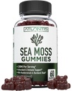 Irish Sea Moss Gumies - 3000MG - Formulēts w/ Irish Sea Moss, Bladderwrack & Burdock Root, Satur Essential Vitamīnu & Mineral - Antioxidant-Rich Superfood Pielikums, 60 Sea Moss Gumies pieaugušajiem