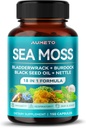 Premium Sea Moss Papildinājums ar melno sēklu eļļu, Ashwagandha, Bladderwrack, Nattle- Advanced 18-in-1 Formula Immunity Boosting, Mineral-Rich - Ražots ASV (150 Grāfs (1. iepakojumā))