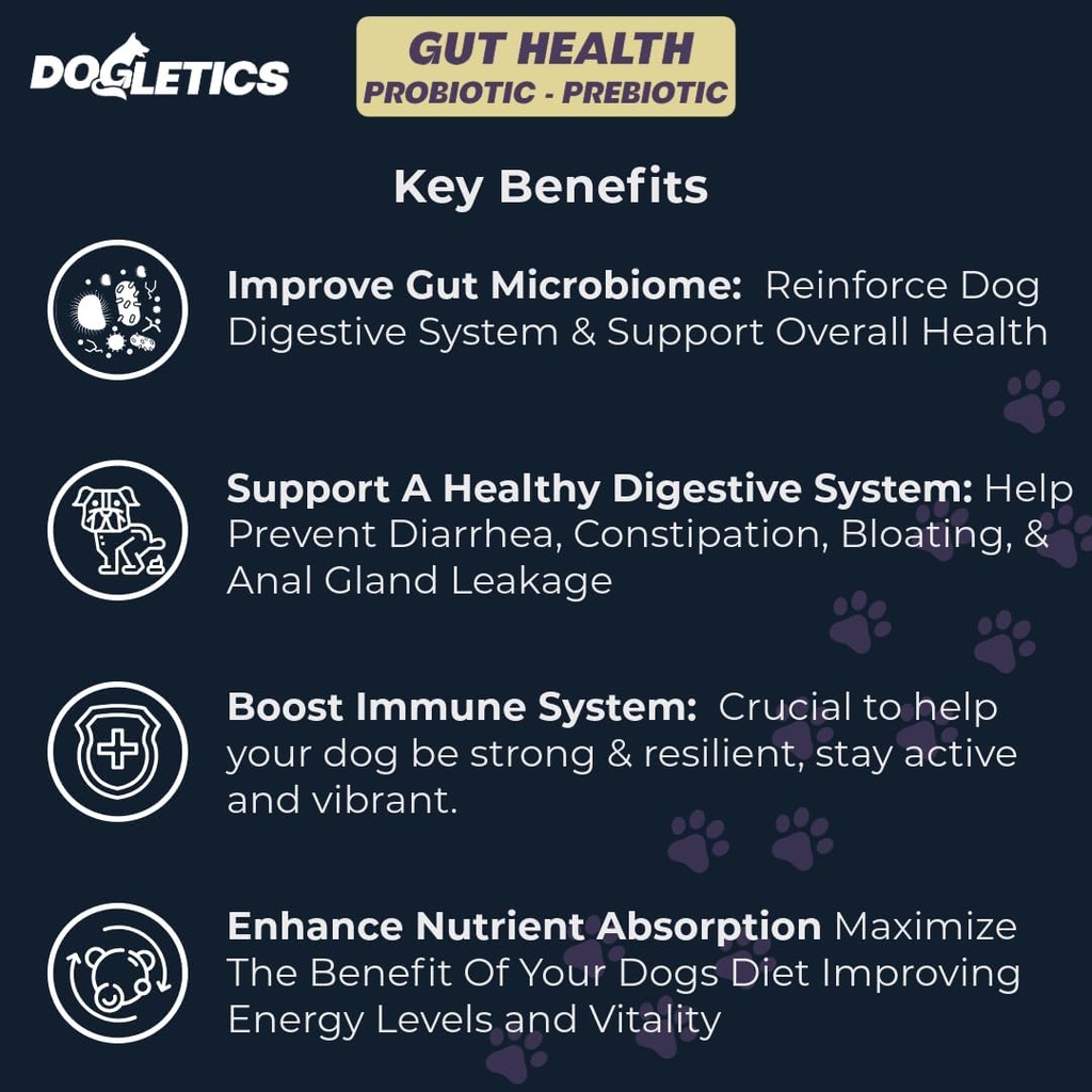 Gut Veselība Probiotikas & Prebiotikas - 90ct Atbalsts Kuņģis Microbiome, Novērst gremošanas problēmas, Samazināt Anal Gland jautājumus, Uzlabot Imūnfunkciju un vispārējo enerģiju