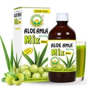 Basic Ayurveda Ērkšķogas + Aloe Vera Juice – 16.23 Fl Oz (480ml) - 50-Piecdesmit augu maisījums Immunity, Digestion & Ādas veselība - Amla & Aloe Blend - 100% Dabisks -Diena Ayurvedic Tonic