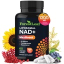 NAD+ papildinājums - 500mg Pure NAD Plus enerģijai, fokusam, ādas un anti-novecošanās atbalstam - bez lipekļa Ne-GMO NAD piedevas sievietēm un vīriešiem (60 skaitīšana (1. iepakojumā), NAD+ Resveratrol)