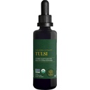 Global Healing Center - Organic Tulsi (Svētais Baziliks Leaf ekstrakts) Vegan šķidruma papildinājums Drops (Organic Basil) - Biopieejams Herb normālai stresa reakcijai, dabas enerģija un imūnās sistēmas atbalsts