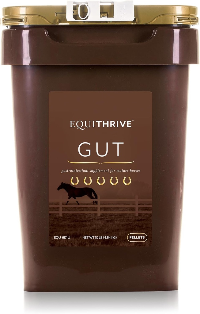 Equithrive Horse Gut Pellets ar probiotikas, Psyllium Husk pulveris, Nātrija bikarbonāts un Omega 3 Taukskābes, Gremošanas atbalsta papildinājums zirgiem, 10 mārciņas