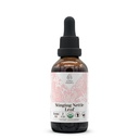 Stinging Nettle Leaf USDA Organic Alcohol-free ekstrakts 