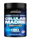 VITAMISAN Celulas Madres 180 Kapsulas - Cilmes šūnu zaļās aļģes - ne-ĢMO -Gluten bezmaksas AFA - Celula Madre Papildinājums - Lauvas Mane Beta Glucan Atbalsta veselīgu novecošanu un veicina Imūns Spirulina.