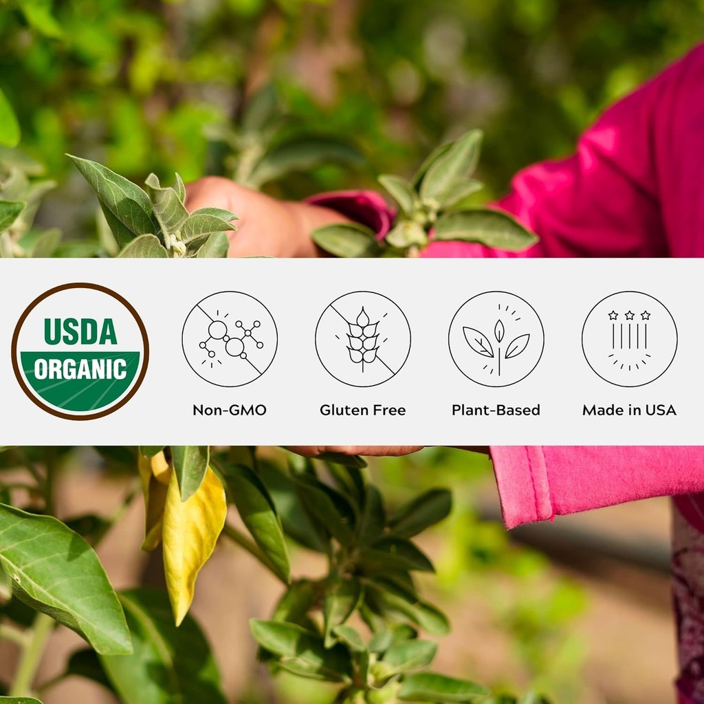 Organisks Ashwagandha pulveris, ne-GMO, godīga tirdzniecība, vegans, bez glutēna, vienota izcelsme, aug Oregonas adaptogēnajā ajurvēdiskajā augu aizsardzības līdzekļa papildinājumā rezējamā jar