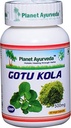 Planet Ayurveda Gotu Kola, 500 mg Veg kapsulas - viena pudele