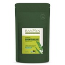 Banānu botānika Bhumyamalaki pulveris – Organisks aknu veselības papildinājums* – Phylanthus spp. – Dabīgai detoksifikācijai un aknu tīrīšanai* – 1/2 DAUDZS – ĢMO Nav ilgtspējīgi Izplatīts Vegan