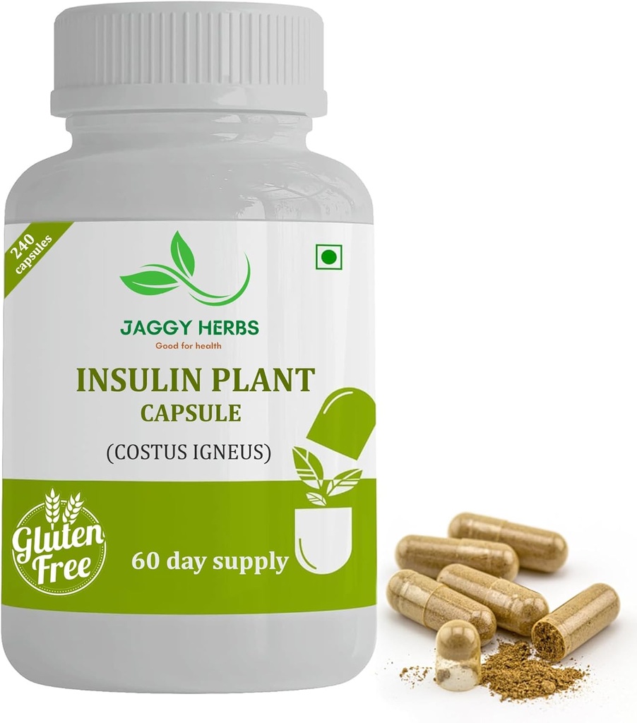 Generic JAGGY Premium Insulin Plant Capsules (Costus Igneus) Dabiskais papildinājums 240 Veggie Capsules (60 dienu apgādes) Insulin Plant