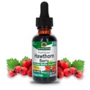 Dabas atbilde Hawthorn ogas ; veicina veselīgu cirkulācijas funkciju ; palīdz uzturēt veselīgu holesterīna līmeni; bez lipekļa, bez alkohola, bez košera Sertificēts un nav konservantu 1oz