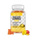 Mullein Gummies, 2000mg Organisks Mullein Leaf ekstrakts ar Quercetin, Bromelain & Vitamīnu D3, Mullein Leaf ekstrakts respiratoriem, dabas plaušu tīrīšanai, uzlabot apetīti, veganu, ne-GMO, 1 iepakojums