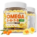 Omega 3-6-7-9 Gumijas, Organiskā smiltsērkšķu eļļa 1200MG & Flaxeed Oil 500MG, Vegan Omega 7 Papildinājums ar A, C, E vitamīnu, taukskābēm, bez zivju garšvielām, uztur ādu, aci, imunitāti, smadzeņu veselību, 60 Cts