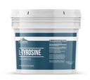 Earthborn Elements L-tirozīns 1 Gallon Bucket, tīrs un neatšķaidīts, Diētiskās piedevas pulveris