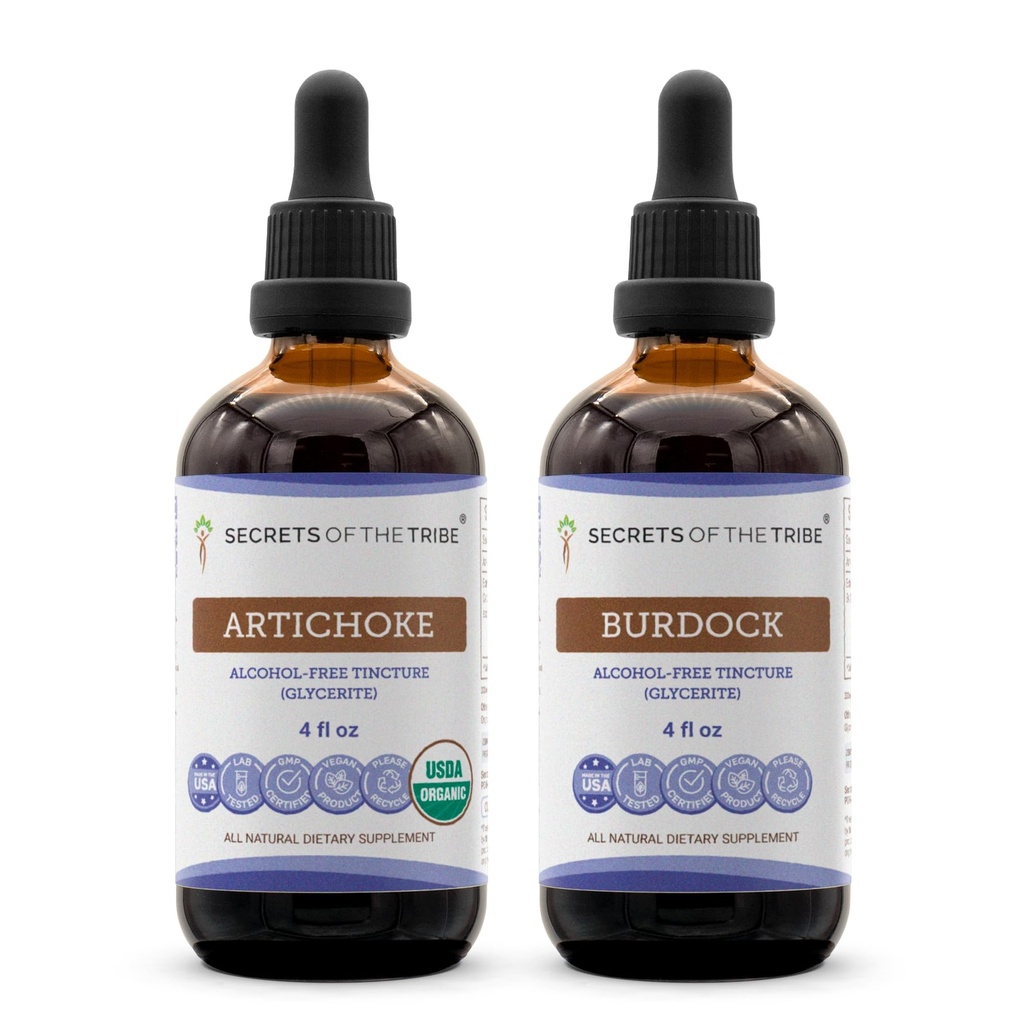 Secrets of the Tribe Artichoke and Burdock Liquid Extract 4x4 oz | Cynara scolymus Dried Leaf and Arctium Lappa Dried Root