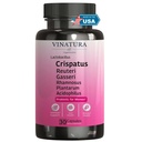 VINATURA Lactobacillus Rhamnosus, Reuteri, Gasseri, Plantarum, Crispatus, Acidophilus Probiotikas - Probiotikas sievietēm *ASV Made & Tested* Sievietes Vaginālā veselība, Gut un Gremošanas veselība - 30 kapsulas