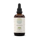 HerbEra Greater Celandine B120 Alcohol-Free Herbal Extract Tincture, Concentrated Liquid Drops Natural Greater Celandine (Chelidonium Majus) Dried Plant (4 oz)