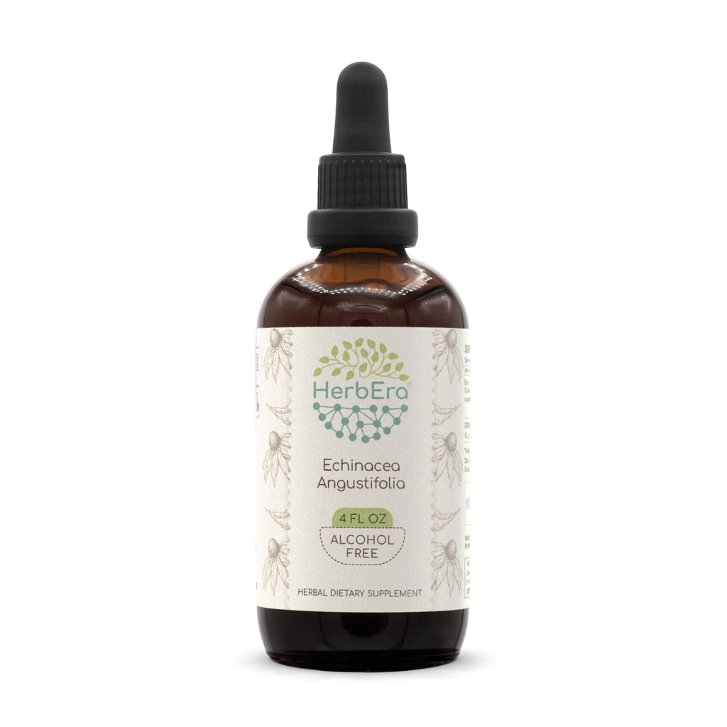 HerbEra Echinacea Angustifolia B120 Alcohol-Free Herbal Extract Tincture, Super-Concentrated Responsibly farmed Echinacea spp. 4 fl oz