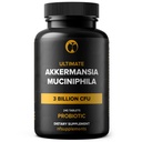 Akkermansia Muciniphila Probiotic Supplement 3 Billion CFU 240 Tablets Probiotics for Men & Women Supports Digestive & Gut Health Vegan Friendly Gluten Free Non-GMO (240, Akkermansia Muciniphila)