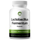 Lactobacillus Fermentum Probiotic 240 Tablets (4 Month Supply) – Researched Strain LF61 – 3 Billion CFU – Digestive Health & Antioxidant Support – GMP Certified (240, Lactobacillus Fermentum)
