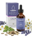 DropRx Calm - Organic Calming Supplement for Adults - Kava Kava, Lemon Balm, Lavender & Chamomile Liquid Drops - Herbal Relaxation Blend - Natural Sleep & Zen Support (2 fl oz)