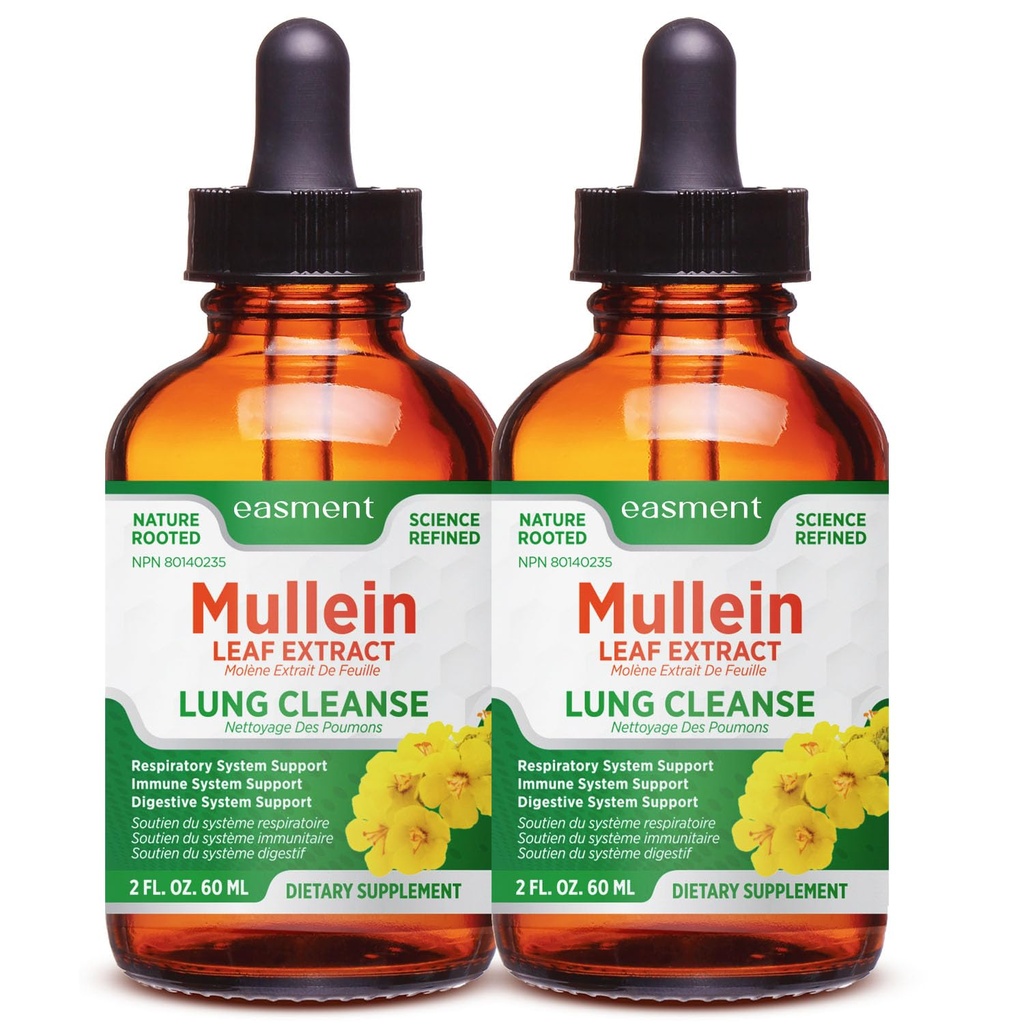 Mullein Drops for Lungs Cleanse – 2 Pack Lung Support Tincture with Mullein Leaf Extract, Herbal Respiratory Relief Supplement, Natural Glycerin-Based Liquid Formula