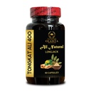 Tongkat Ali Longjack Root Extract – Daily Capsules for Men with Plant-Powered Benefits - Longjack Herbal Supplement - Energy Support - 1 Bottle 60 Capsules