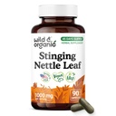 Wild & Organic Stinging Nettle Leaf Capsules - 1000 mg Stinging Nettle Extract - 90 Vegan Herb Capsules - 45 Days Supply - Vegan, No Fillers