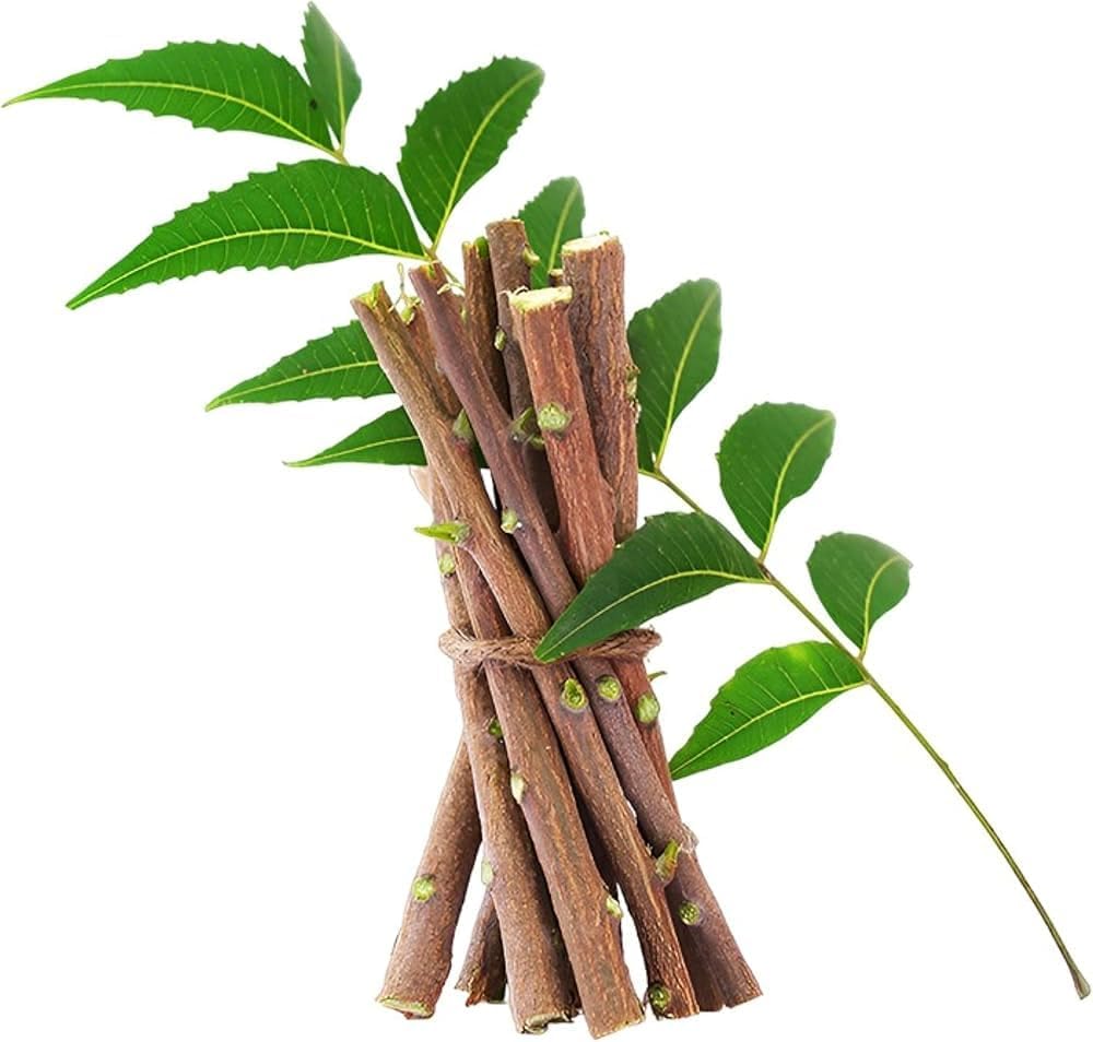organic Neem stick for teeth brush | Neem Datun stick | pure ayurvedic natural and organic | (pack of 20)