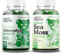 Savvaļas un bioloģiskie hlorofili Gummi & Sea Moss Gumies