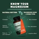 Dabiskais ritms Calm Gremošanas Bundle - Trīskāršs Calm Magnijs (120 Kapsulas) + Gremošanas Calm Probiotika (60 Kapsulas)