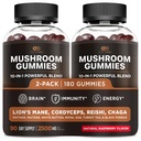 Effective NUTRA Mushroom Gummies 2500mg - 10 Blend w/Lions Mane, Reishi, Chaga, Cordyceps & More - Focus, Atmiņas, Immunity, Enerģija - Dabīgs Berry Flavor papildinājums - Vegan, Ražots ASV (2-Pack)