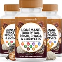 Lauvas Mane sēņu Papildinājums ar Turciju Taile Reishi Cordyceps Chaga ar Marshmallow Sakne - 180 grāfs