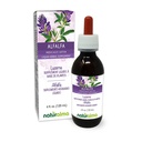 Naturalma Alfalfa jeb lucerna (Medicago Sativa) augs ar ziediem Tinktūra bez alkohola - bagāta ar dabas hlorofilu - 4 fl oz Šķidrais ekstrakts pilienos - Augu Papildinājums - Vegan
