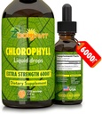 Hlorofila šķidruma pilieni 100% Organic Vegan - Enerģijas un Imūnsistēmas Booster Papildinājums ar piparmētru Uzliesmojošs ūdenim - Dabīgs iekšējais dezodorants - Papildus stiprums 6000mg 120 Servējumi