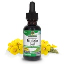 Dabas atbilde Mullein Herb - Mullein Leaf ekstrakts volframam - bez alkohola, ne ĢMO, ražots ASV - Atbalsta Respiratorās funkcijas un veicina veselīgu Lungs - Mullein Leaf 1 Ounce ekstrakts