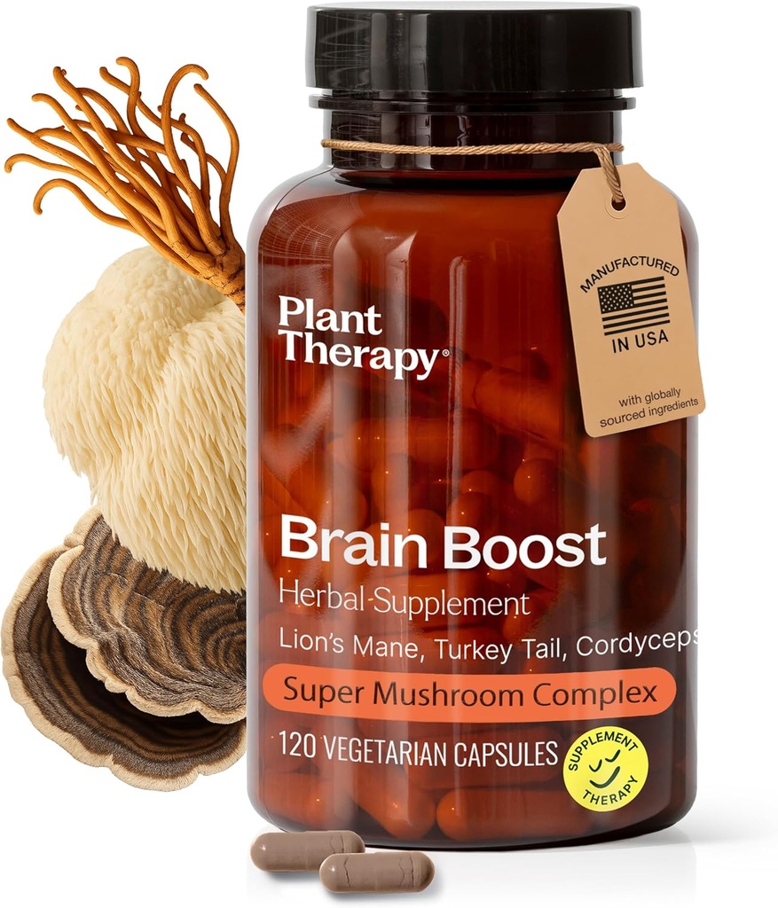 Augu terapija Lion s Mane Capsules ražots ASV 4 Mēnešu Piedāvājums ar Turciju Tail un Cordyceps Atbalsta Atmiņas Fokusa papildinājumi sievietēm un vīriešiem Smadzeņu Boost 120 Veģetāriešu Kapsulas