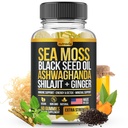Sea Moss, Black Seed Oil, Ashwagandha, Ginger, Shilajit Gummies with Elderberry, Chlorophyll, Turmeric Bladderwrack Sea Moss Gumies Advanced Strength Formula - Visi 1 Bundle - USA Made (60 Gummies)