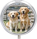 Round Pill Case 3 iecirknis Golden Retriever Dogs Kucēni Mājdzīvnieki Pill Box Mini Medicine Pill Organizators Portable Travel Pillbox kabatām Purse Metāla Pill Konteiners vitamīniem Zivju eļļas bagātinātāji