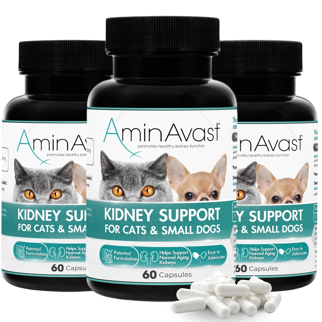 AminAvast nieru atbalsta papildinājums kaķiem un maziem suņiem, 300mg 3-Pack - veicina dabas nieru funkcijas - AIDS veselības un dzīves kvalitātes novecošanās Nieres - Viegli ievadīts - 60 smidzināt kapsulas