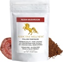 Additive Wellness Reishi Sēņu ekstrakta pulveris + Sporas (50/50 Blend) Kokaudzēts Pure & Potent Wildcrafted Ganoderma 50g (1,76 oz)