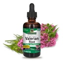 Dabas atbilde Baldriāna Sakne ; Veicina Restful Miega ; Calms & Relaxes; Super Koncentrēts 1000mg ; Bez lipekļa, bez alkohola; Košera Sertificēts & Vegan 2oz (iepakojums no 2)