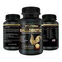 Gallobiotic Dabīgs Multivitamīnu Rooster, Hens - 100 tabletes