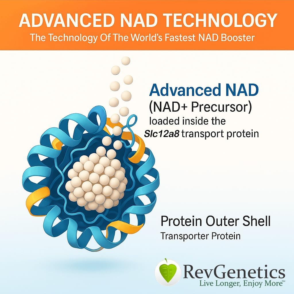 REVGENETICS Advanced NAD+ papildinājums, 60 kapsulas - uztura papildinājums veselīgai novecošanai un noturībai